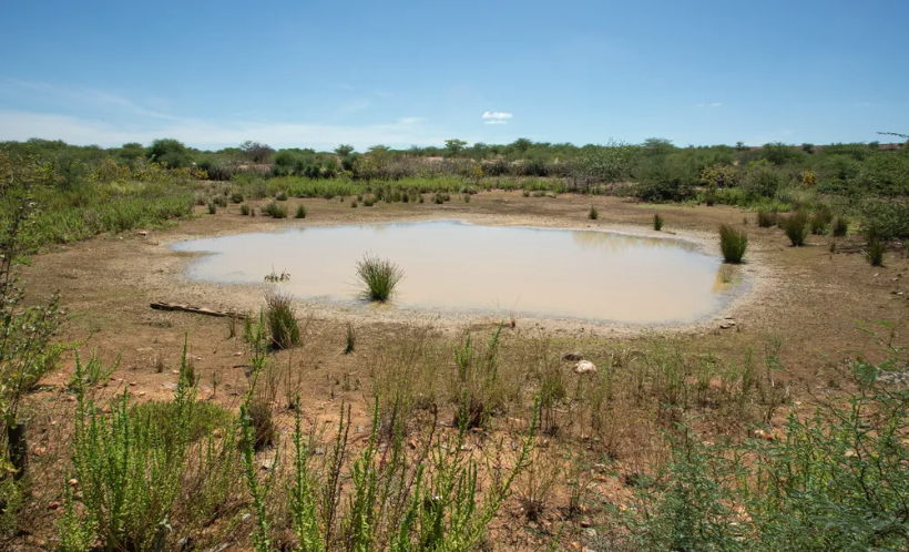 Sudene firma parceria o Ministério do Meio Ambiente contra a