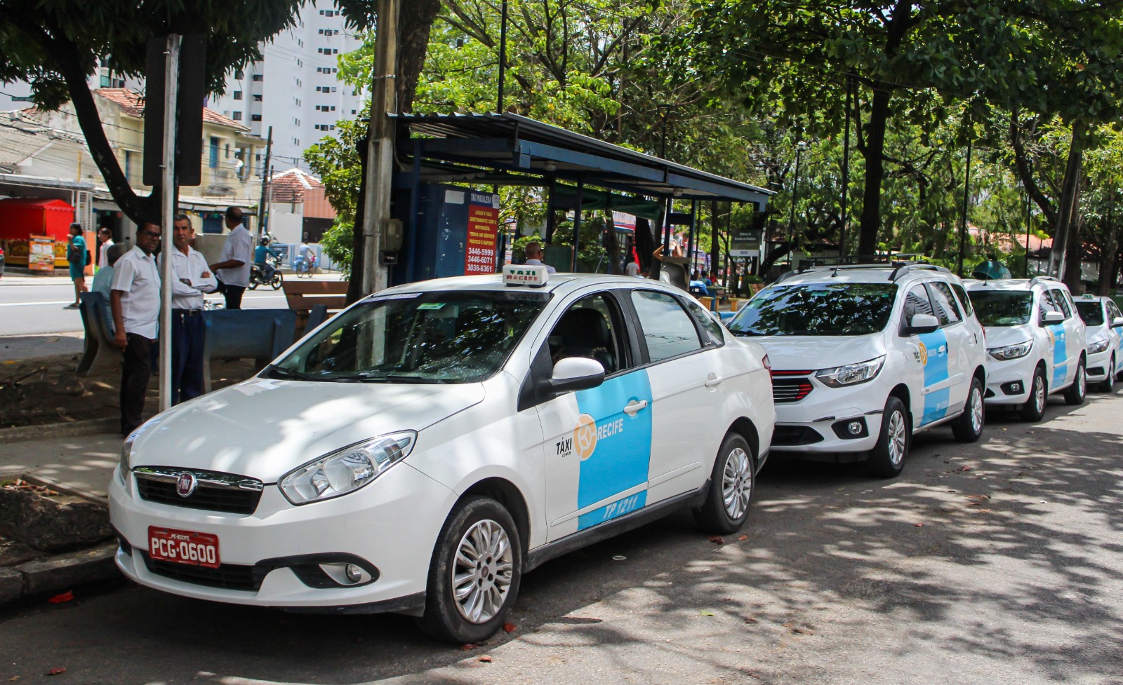 Taxistas Do Recife Poderão Ser Atendidos Pela CTTU De Maneira Online