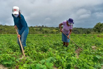 Programa Garantia Safra completa 20 anos e beneficia famílias rurais pernambucanas