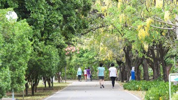 Prefeitura do Recife abre consulta pública gratuita para concessão de quatro parques da cidade
