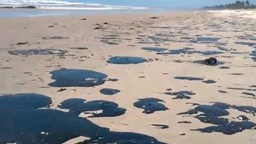 MPPE cria site sobre o derramamento de óleo no litoral de Pernambuco 