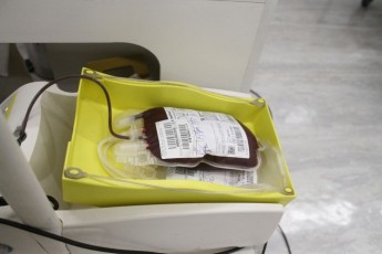 Hemope promove o agendamento das doações de sangue durante a pandemia da Covid-19