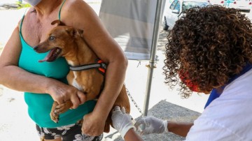 Prefeitura de Jaboatão realiza vacinação antirrábica neste sábado (05)