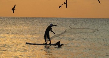 Pescadores devem receber auxílio do governo federal pelos prejuízos causados pelas manchas de óleo 
