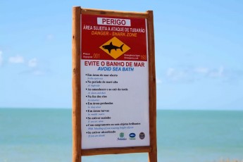Adolescente é mordido por tubarão na praia de Piedade, em frente à Igrejinha
