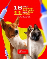 Prefeitura de Salgueiro promove Dia D de Vacinação Antirrábica para Cães e Gatos neste sábado (18)