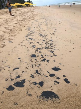 Manchas de óleo encontradas em praias do Nordeste não são brasileiras 