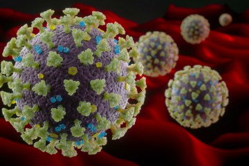 Infecções por Covid-19 continuam crescendo no estado e no país de acordo com cientista