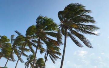 Agosto chega com ventos mais fortes no estado de Pernambuco