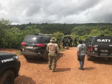 Polícia Federal erradica cerca de 57 mil pés de maconha no Sertão de PE