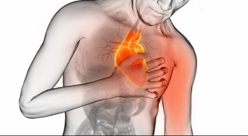  Diretor científico da Sociedade Brasileira de Cardiologia dá dicas de como evitar doenças cardiológicas  