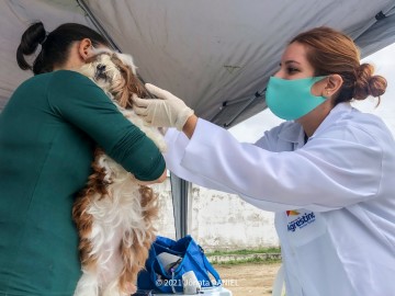 Atendimento veterinário gratuito é disponibilizado pela Prefeitura de Agrestina 