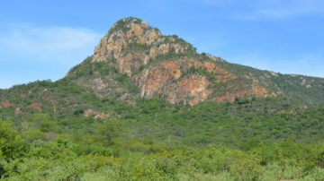 Estado realiza audiência pública em Serra Talhada para concessão do Parque Estadual Mata da Pimenteira