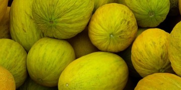 China autoriza compra de melão brasileiro e Nordeste é diretamente beneficiado