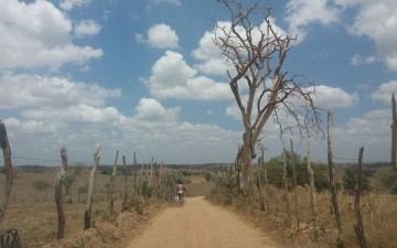 Aumenta a intensidade da seca no Agreste pernambucano