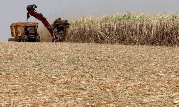 Nordeste quer redistribuição do etanol importado