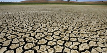 Mais da metade do território de Pernambuco registra seca em agosto 