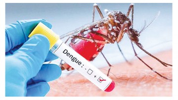 CBN Sustentabilidade: O assunto foi a Dengue