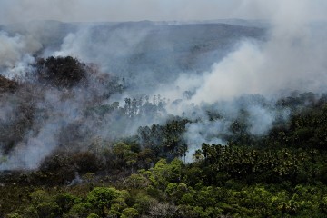 Estratégias de proteção ambiental, agronegócio verde e conselho da Amazônia