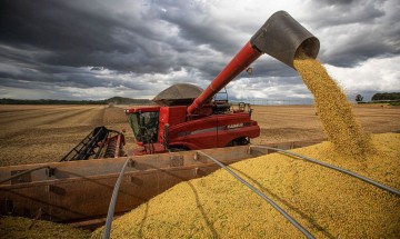 Safra agrícola cai 0,4% em 2021, mas pode ter recorde em 2022