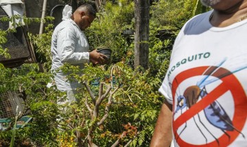 Mais de 2 milhões de casos de dengue são registrados no Brasil