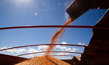 Companhia Nacional de Abastecimento prevê produção recorde de grãos na safra 2020/21
