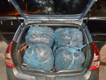 Motoristas de aplicativo são detidos com 60 quilos de maconha em São Caetano