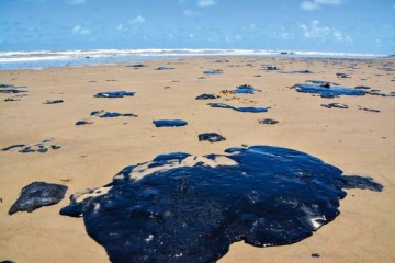 Praia atingida por óleo tem aumento de até 570% de compostos que podem causar câncer