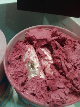 PF apreende 8,6 kg de maconha em potes de sorvete no Aeroporto do Recife