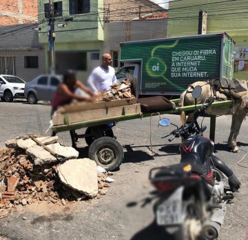 Vereador apresenta projeto de Lei que proíbe o trânsito de veículos de tração animal em Caruaru 