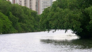 Panorama CBN: Conservação do Rio Capibaribe