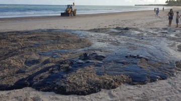 Vazamento de óleo prejudica setor do turismo em Pernambuco, afirma especialista