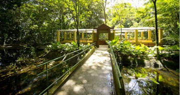 Com novos protocolos de segurança, Jardim Botânico do Recife reabre nesta sexta-feira (11)