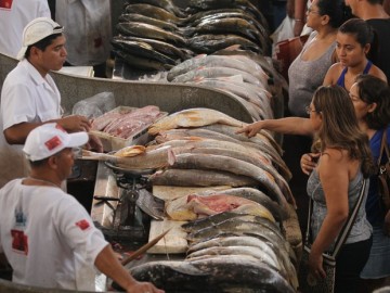 Pescado está totalmente liberado para o consumo, afirma secretário de desenvolvimento agrário de Pernambuco 