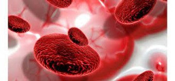 CBN Saúde: Clínico-geral explica pontos sobre a anemia