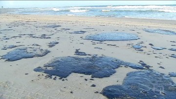 Encontro discute problemas do vazamento de óleo nas praias nordestinas
