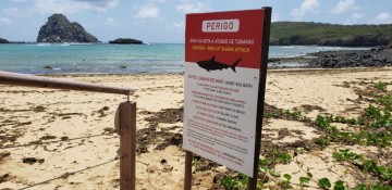 MPPE recomenda restrições nas praias de Noronha e estudos ambientais para reduzir risco de ataque de tubarão na área