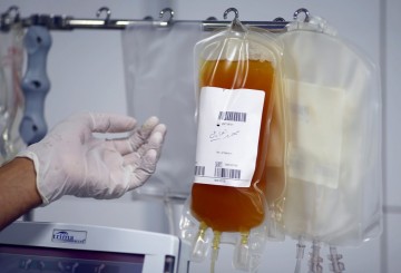 Estudo pretende salvar vidas com plasma sanguíneo de pessoas que tiveram Covid-19