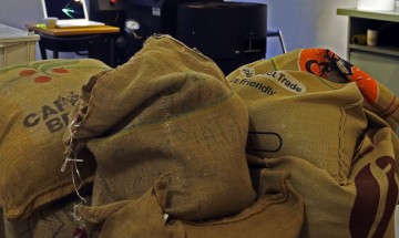 CMN destina R$ 1,3 bi para recompor perdas em cafezais após geadas