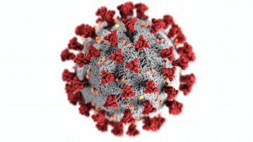 Nova variante do coronavírus chega na Europa