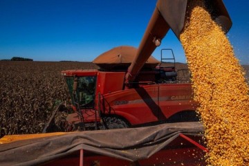 Confiança do agronegócio tem alta no segundo trimestre