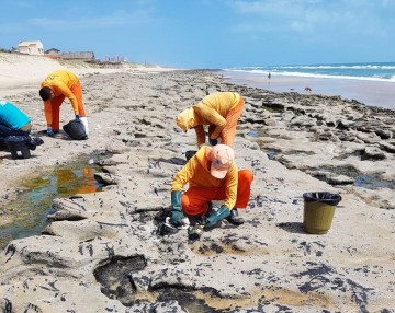 Governo de pernambuco remove vinte toneladas de óleo do litoral sul