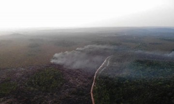Área queimada no Brasil cresce 248% em relação a janeiro de 2023