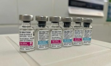 Distribuição de doses da vacina da Dengue pode começar na segunda semana de fevereiro