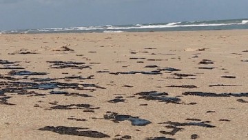 CPRH inicia investigação sobre piches encontrados nas praias pernambucanas