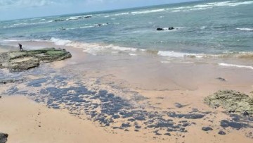Especialista destaca os prejuízos ambientais nas praias nordestinas
