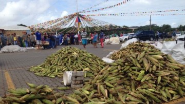 Plantão de milho no Ceasa começa nesta segunda-feira (15) 