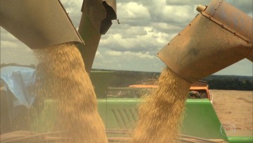 Conab registra comercialização de milho superior a 6 toneladas para pequenos criadores do Estado