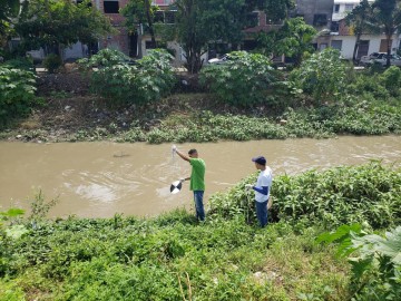 Rio Beberibe tem água imprópria para consumo com presença de bactérias tóxicas