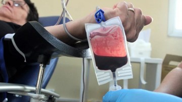 Dia Nacional do Doador de Sangue: a importância de salvar vidas